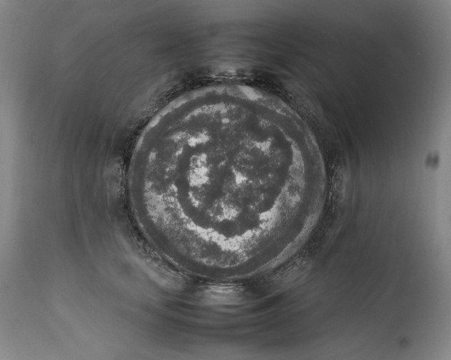 X0000111650659200908071409