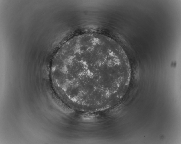 X0000111650661200908071409