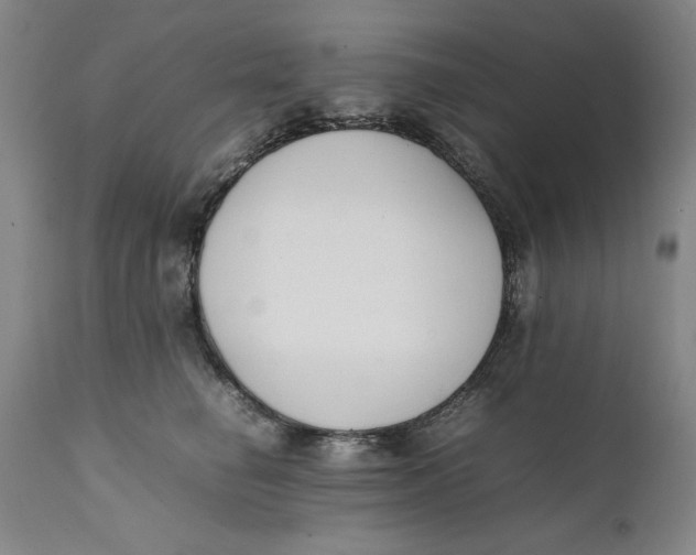 X0000111650662200908071409