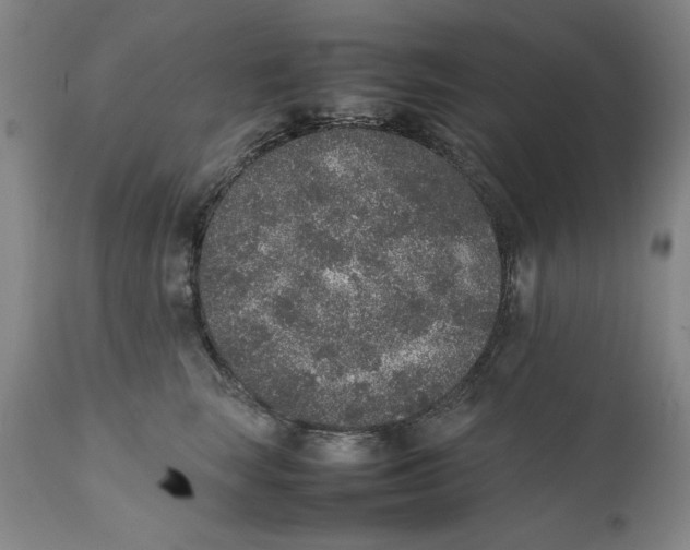 X0000111650663200908071409