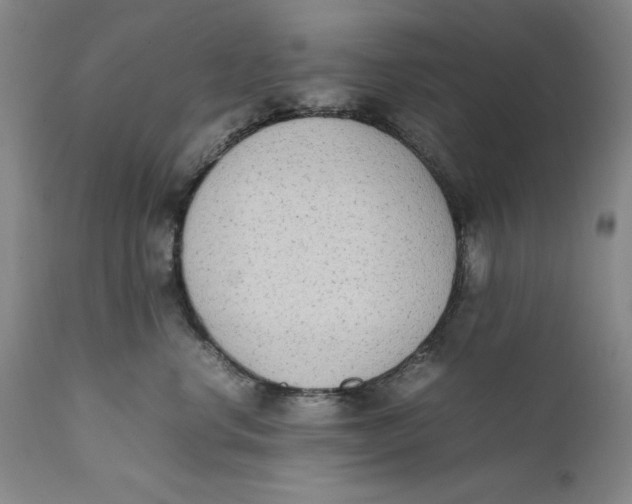 X0000111650668200908071409