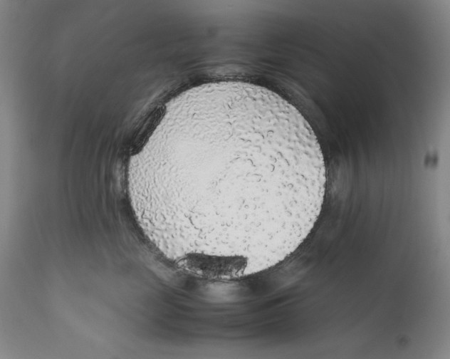 X0000111650669200908071409