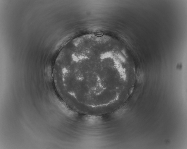 X0000111650670200908071409