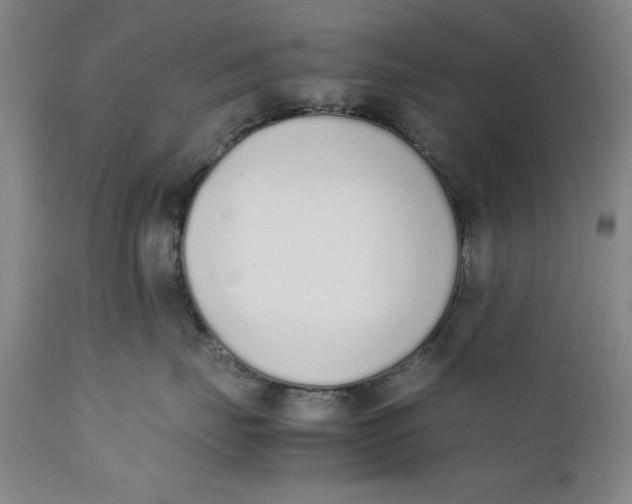 X0000111650671200908071409
