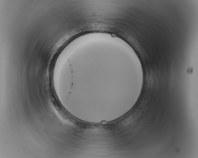 X0000111650674200908071408