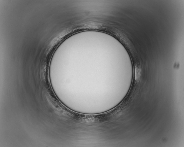 X0000111650675200908071408