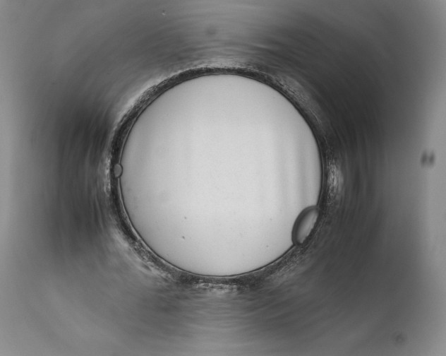 X0000111650676200908071408