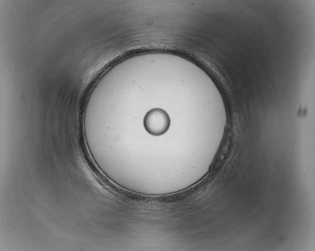 X0000111650677200908071408
