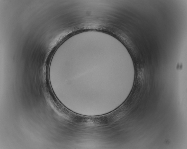 X0000111650678200908071408