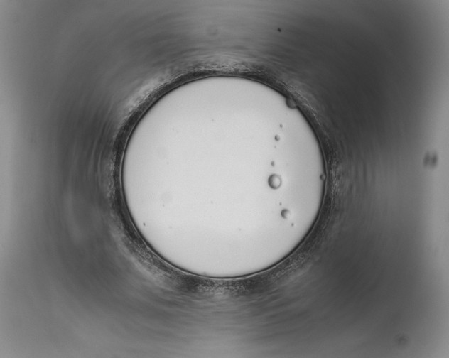 X0000111650679200908071408