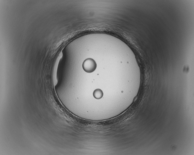 X0000111650681200908071408