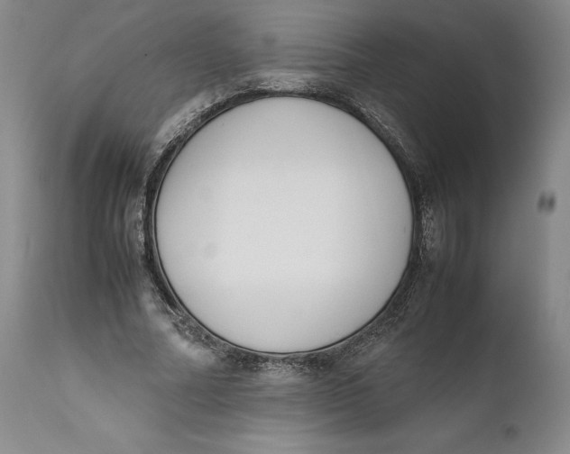 X0000111650682200908071408