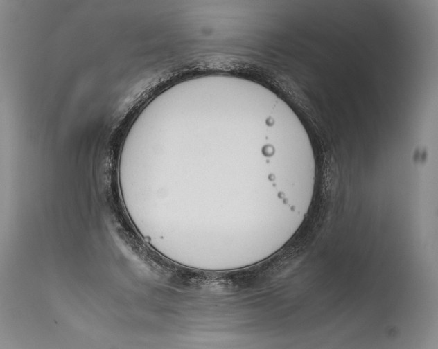 X0000111650683200908071408
