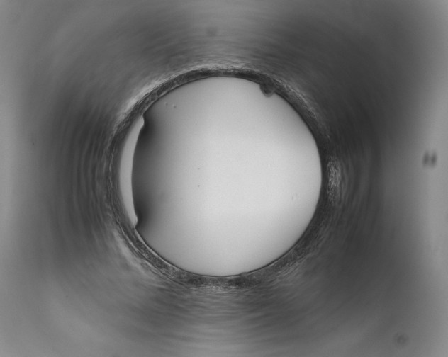 X0000111650684200908071408