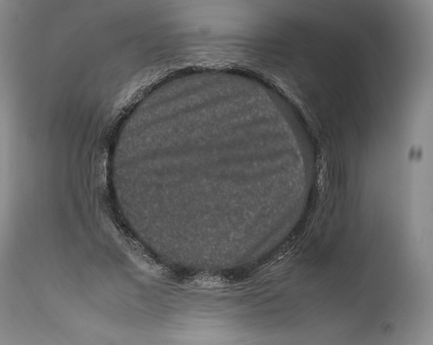 X0000111650685200908071408