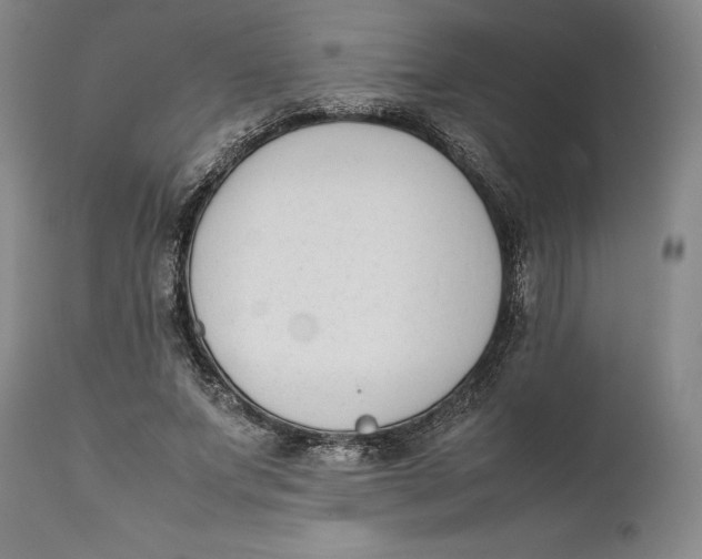 X0000111650687200908071408