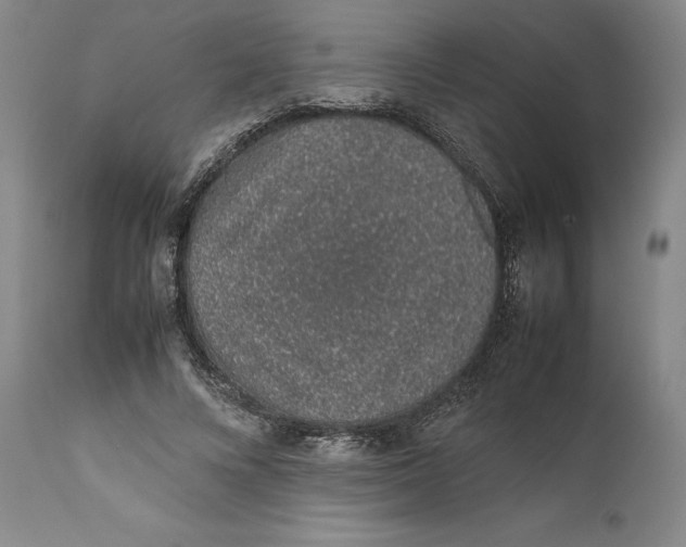 X0000111650688200908071408