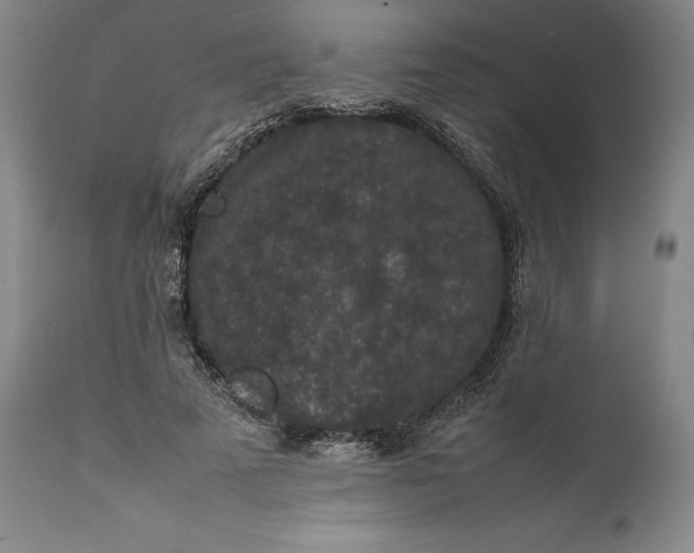 X0000111650689200908071408