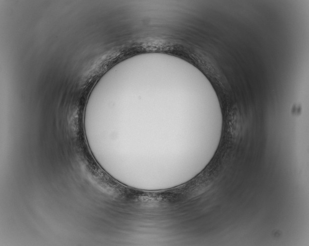 X0000111650690200908071408