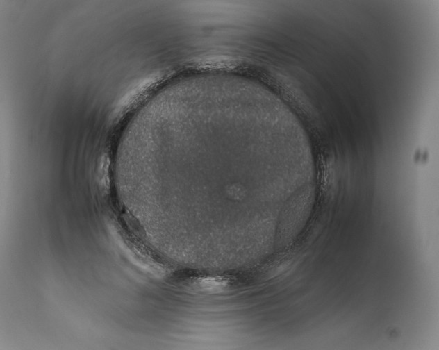 X0000111650692200908071408
