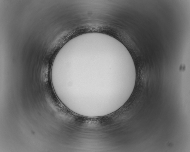 X0000111650694200908071408