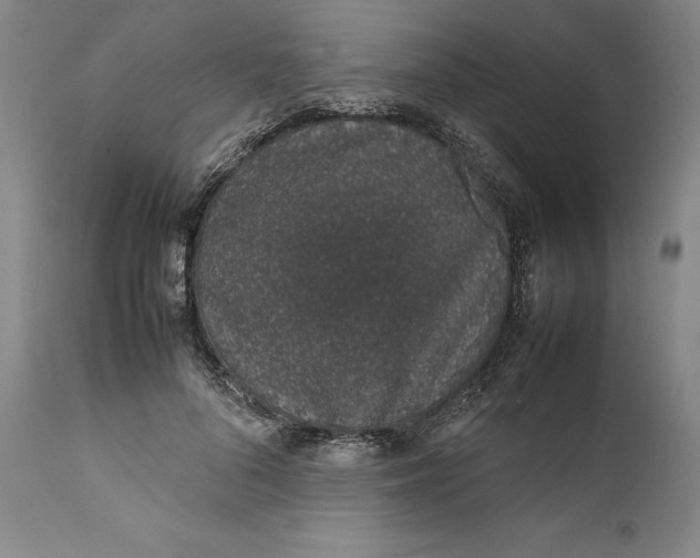 X0000111650696200908071408