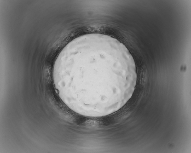 X0000111650699200908071408