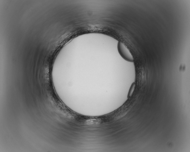 X0000111650700200908071408