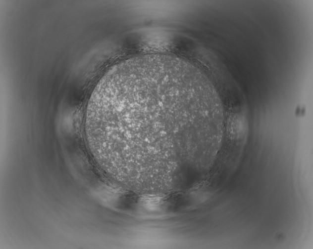 X0000111650701200908071408