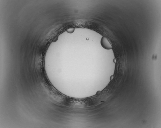 X0000111650702200908071408