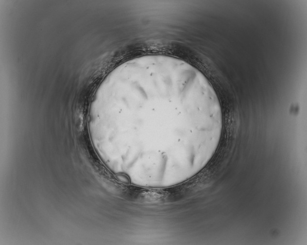 X0000111650703200908071408
