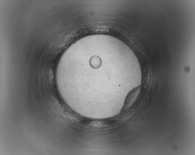 X0000111650704200908071408