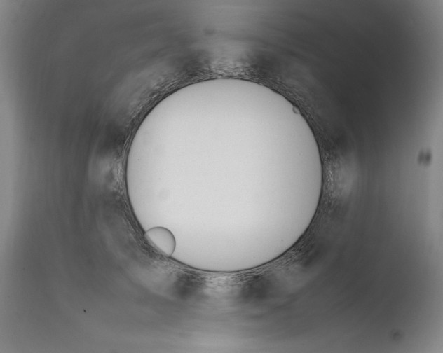 X0000111650705200908071408