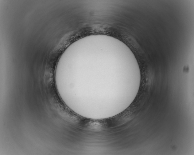 X0000111650706200908071408