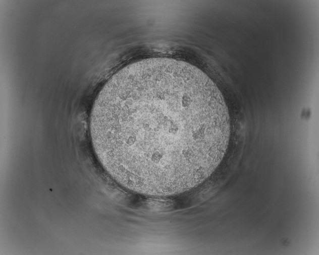 X0000111650707200908071408