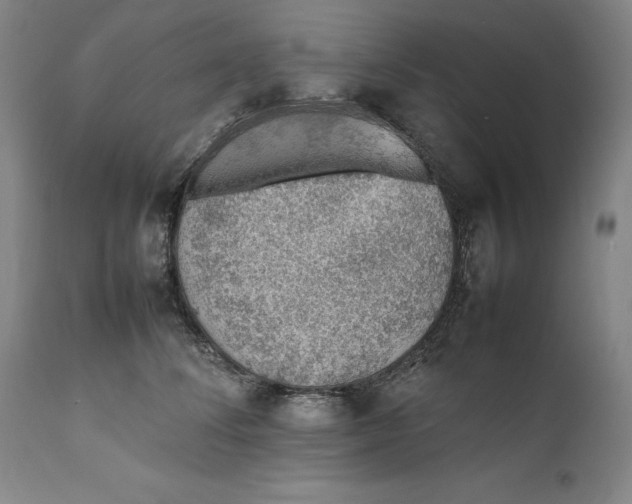 X0000111650708200908071408