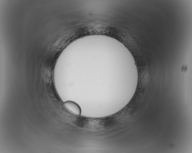 X0000111650709200908071408