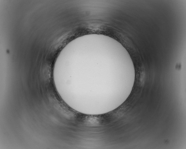 X0000111650710200908071408