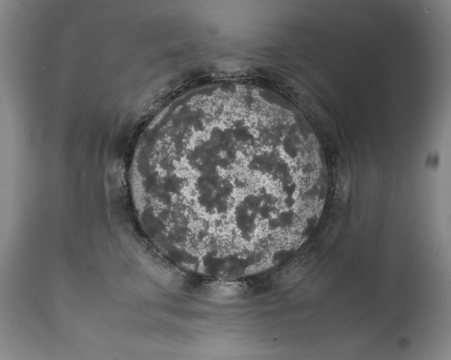 X0000111650711200908071408