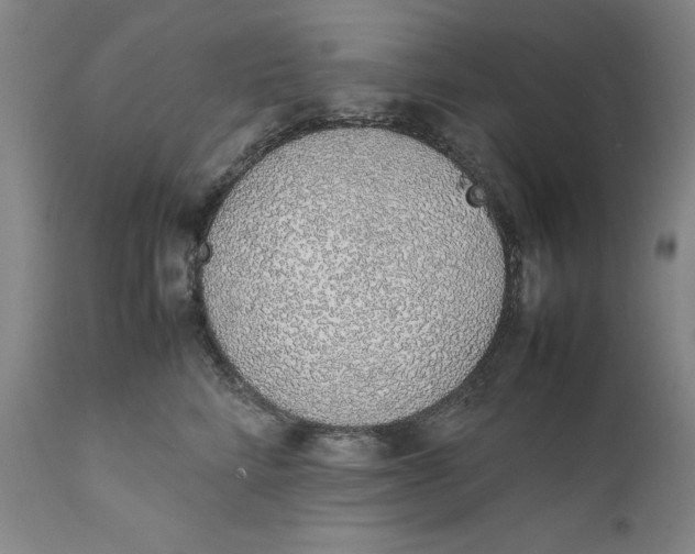 X0000111650712200908071408