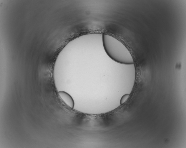 X0000111650713200908071408