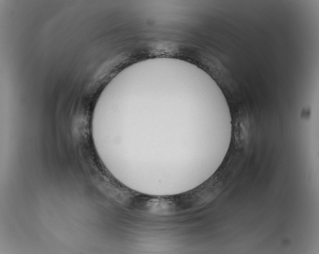 X0000111650714200908071408