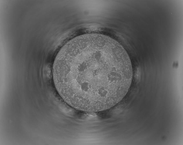 X0000111650715200908071408