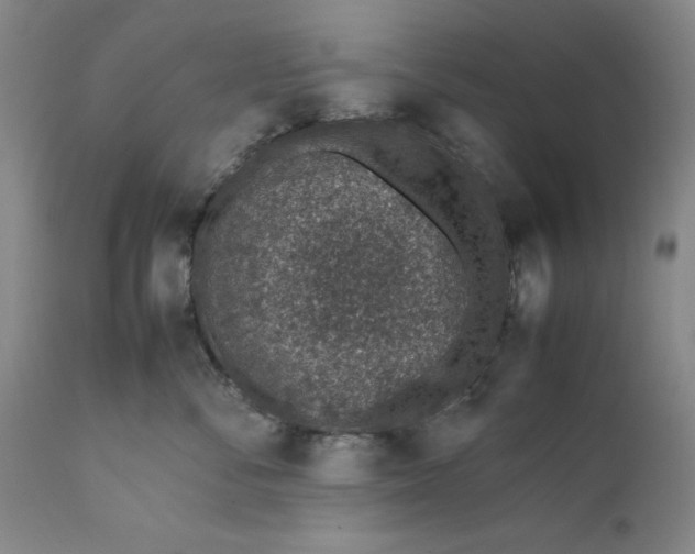 X0000111650716200908071408