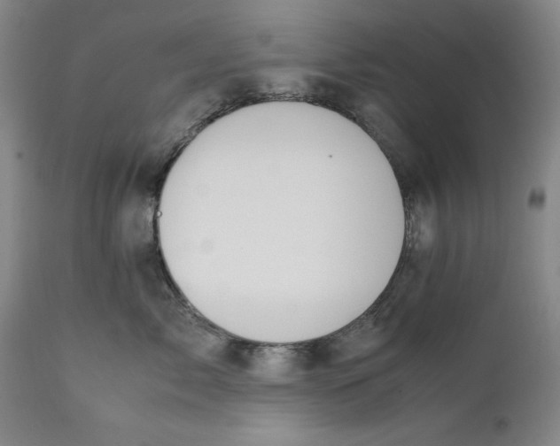X0000111650717200908071408