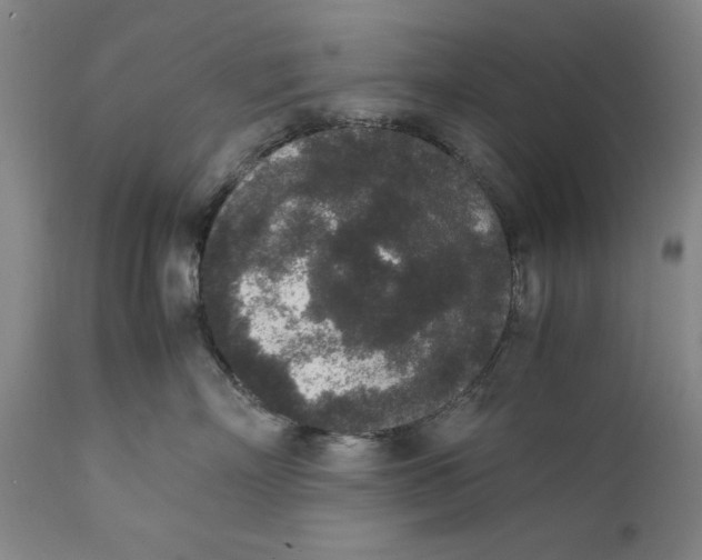 X0000111650718200908071408