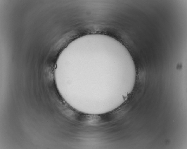 X0000111650719200908071408