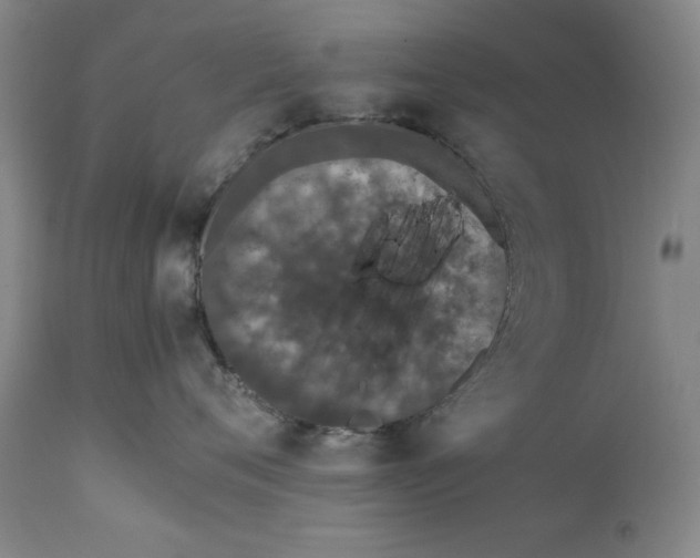 X0000111650720200908071407