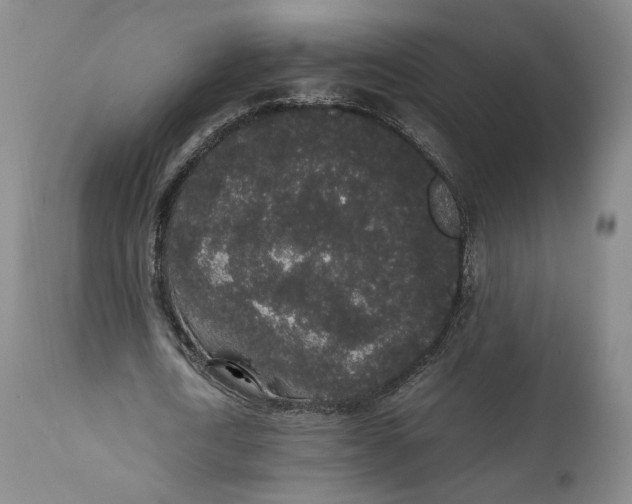 X0000111650722200908071407