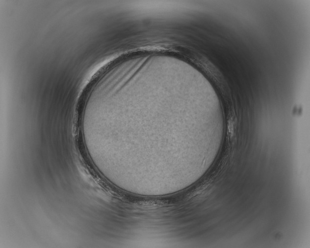 X0000111650724200908071407